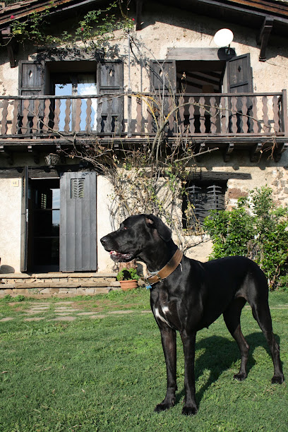 Foto Mas Els Plans – Turisme rural DogFriendly