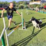 Mircatpark resort - Vilanna