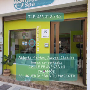 Movilcan.angie Angie Groomer Spa - Palamós