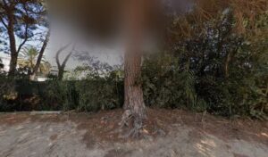 Neteges Bada - Platja d'Aro i S'Agaró