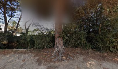 Foto Neteges Bada