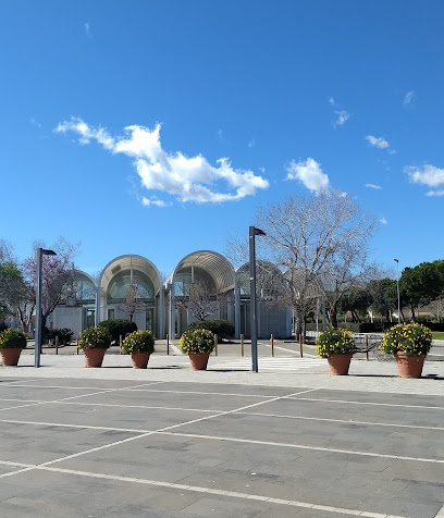 Foto Platja D»aro,