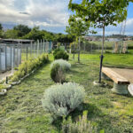 Residencia canina Banyoles Placocan - Banyoles