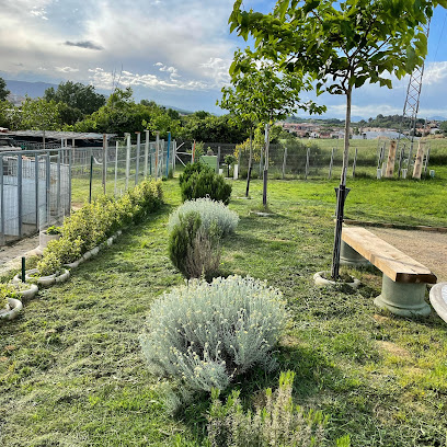 Foto Residencia canina Banyoles Placocan