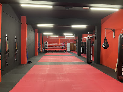 Foto Training boxing
