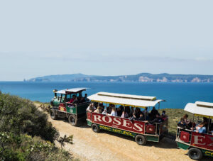 Tren Turístic Cultural Roses Expres - ROSES - Roses